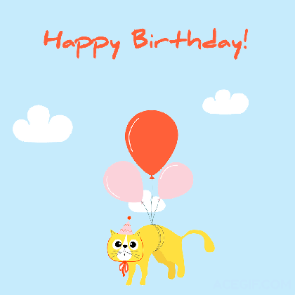 happy birthday cat gifs 40 animated greeting cards grumpy gif medium