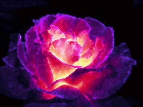 poetess becca my euphoric dreams are filled with glowing roses medium