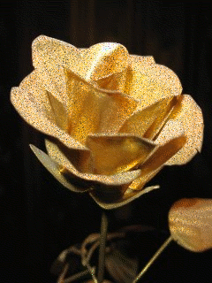 download animated 240x320 yellow rose cell phone wallpaper medium