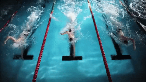 olympics swimming gif find share on giphy medium