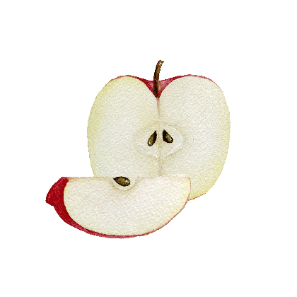 red delicious food sticker for ios android giphy medium