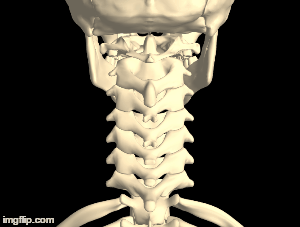 kineman movable 3d skeleton medium