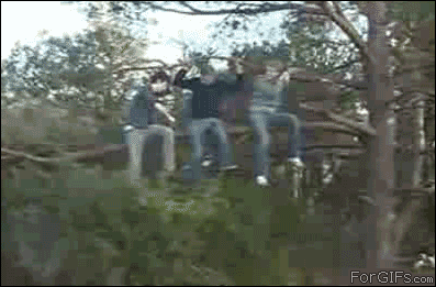 tree fail gif find share on giphy medium