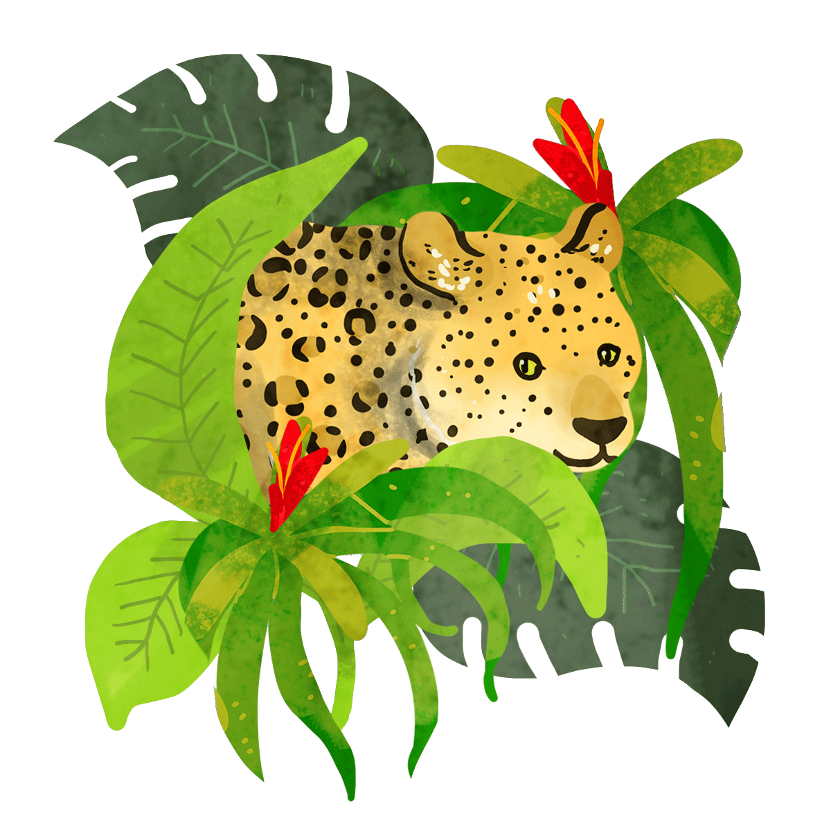 gif sticker on behance illustration stickers rainforest animals medium