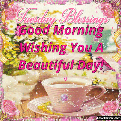 tuesday blessings good morning gif quote pictures photos and medium