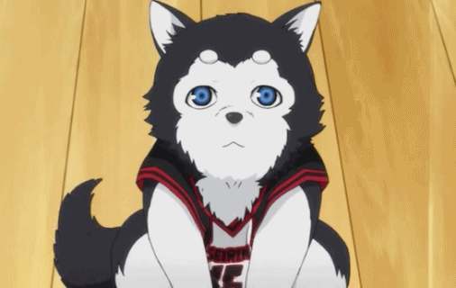 top 10 anime dogs medium
