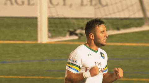 soccer hug gif by new york cosmos find share on giphy medium