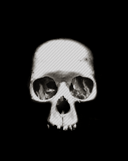 fire skull gif find share on giphy fire skull gif lowgif medium