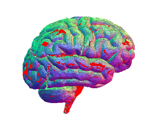 the brain nervous copy1 on emaze medium