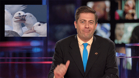 this guy newscaster gif by originals find share on giphy medium