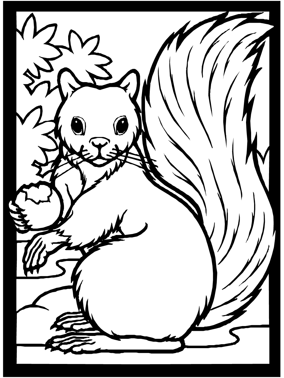 fall coloring pages ebook squirrel free printable and craft medium