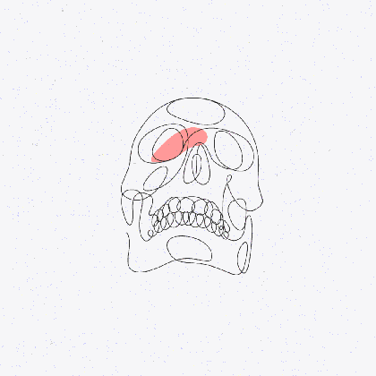 line drawing skulls at getdrawings com free for personal use line medium