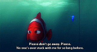 finding nemo stay gif find share on giphy seagulls mine gif and dory medium