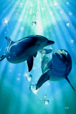 dolphins die animation am telefon 1271112 fishes gif medium