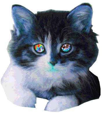 psychedelic cat cat animation gif wifflegif medium