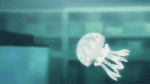 anime recommendation princess jellyfish medium