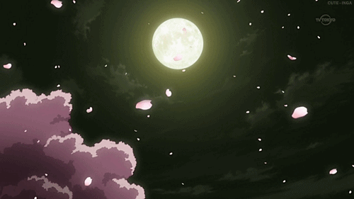 sakura night moon gif on gifer by chillraven medium