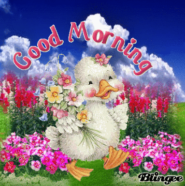 good morning animated picture codes and downloads 108562152 medium