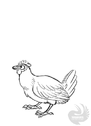chicken drawing images at getdrawings com free for personal use medium