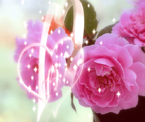 decent image scraps beautiful roses 5 valentine day medium
