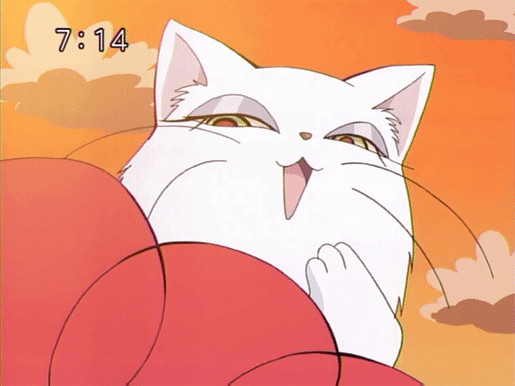 i dont even understand anime cat gif wifflegif medium