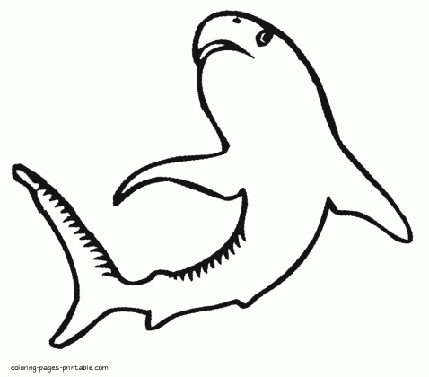 sea animals colouring pages sharks medium