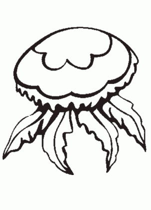 jellyfish coloring page animals town free jellyfish color sheet medium