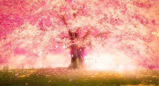 cherry blossom tree anime gif anime girl with cherry blossoms lowgif medium