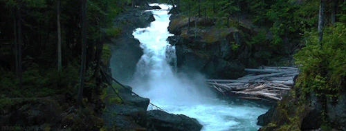 nature forest waterfall mist majestic purity waterfall gif medium