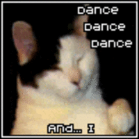 kitty cat dance image gallery know your meme medium
