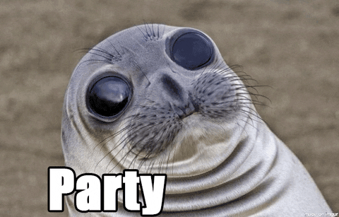party seal gif find share on giphy medium