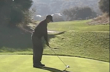 phil mickelson no gif find share on giphy medium