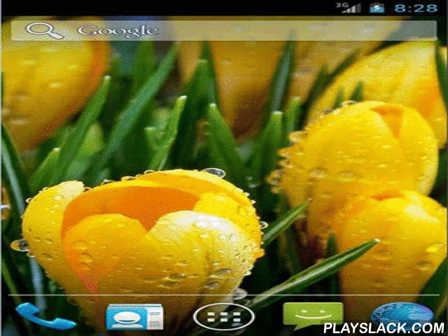 amazing spring flowers android app playslack com amazing spring medium
