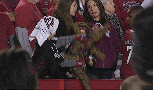 college football rankings gifs find share on giphy medium