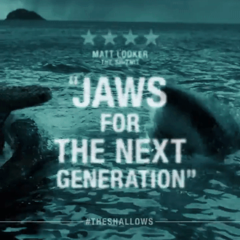 the shallows vs jaws spoilers a deepwater review medium