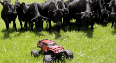 cow rc car gif find share on giphy medium