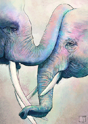 elephant swag tumblr medium