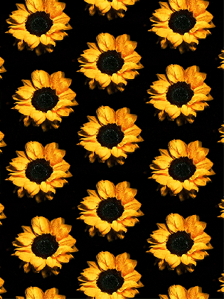 spring flower wallpaper tumblr medium