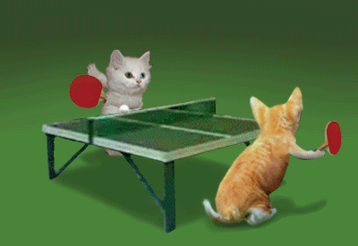 animated free gif kitty ping pong cat cats kitty kitten kittens medium