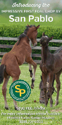 san pablo thoroughbred stallion first foal crop greenfield medium