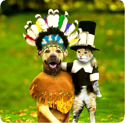 make fun of life thanksgiving day funny dancing animals medium