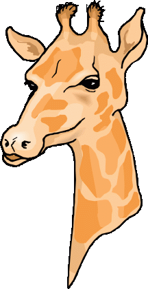 free giraffe clipart medium