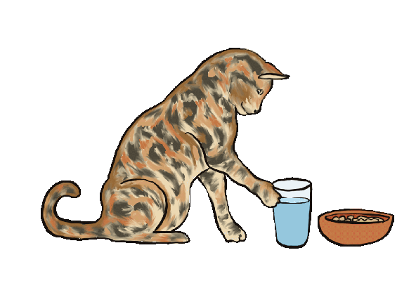 lina kartika on behance tons of cat drinking water gif medium