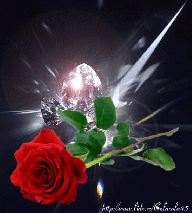 dreamies de 9q9atbm3fq0 gif roses are love pinterest medium