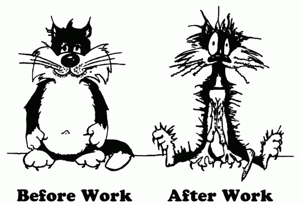 funny cartoons about work 34 hd wallpaper funnypicture org medium