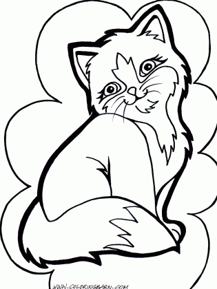 cat drawing pages at getdrawings com free for personal use cat medium