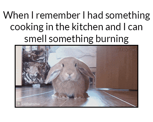 gif when i remember i had something in the kitchen it s burning medium