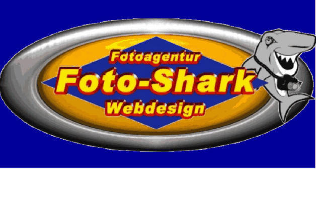 foto shark webdesign medium