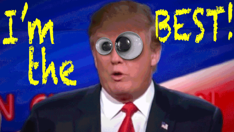 stupid trump gifs get the best gif on giphy medium