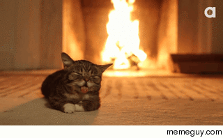 cat enjoying a fireplace meme guy medium
